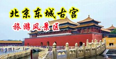 美女掰穴小说中国北京-东城古宫旅游风景区